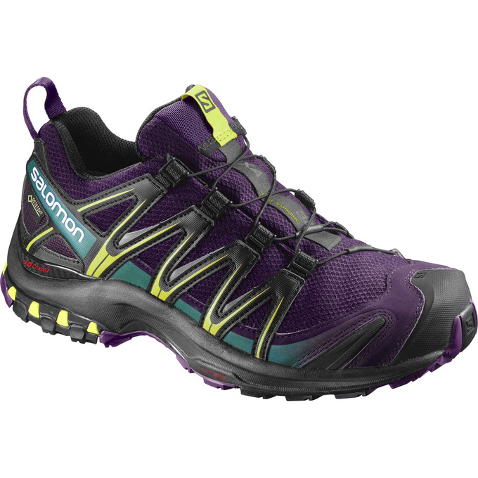 SALOMON XA PRO 3D GTX® W Philippines - Women's Trail Running Shoes - Purple/Black | 126098-BLA